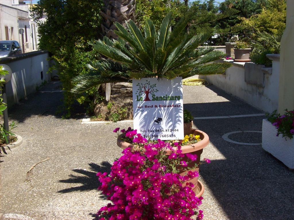 Otranto Le Sancinare Bed and Breakfast Casamassella Εξωτερικό φωτογραφία