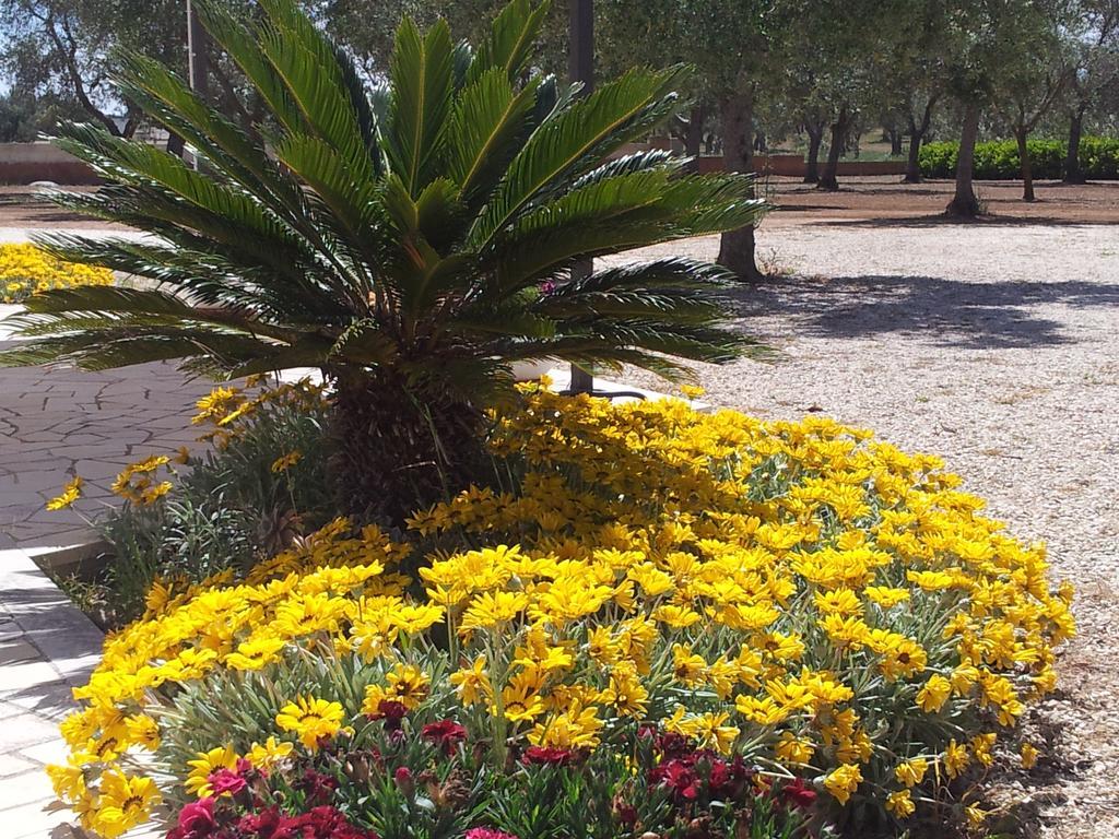 Otranto Le Sancinare Bed and Breakfast Casamassella Εξωτερικό φωτογραφία